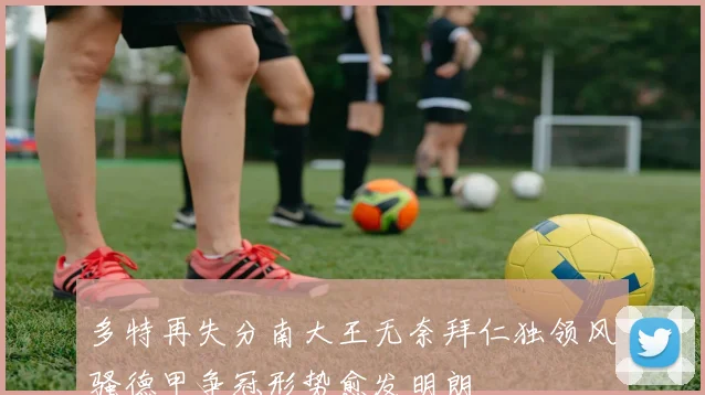 多特再失分南大王无奈拜仁独领风骚德甲争冠形势愈发明朗